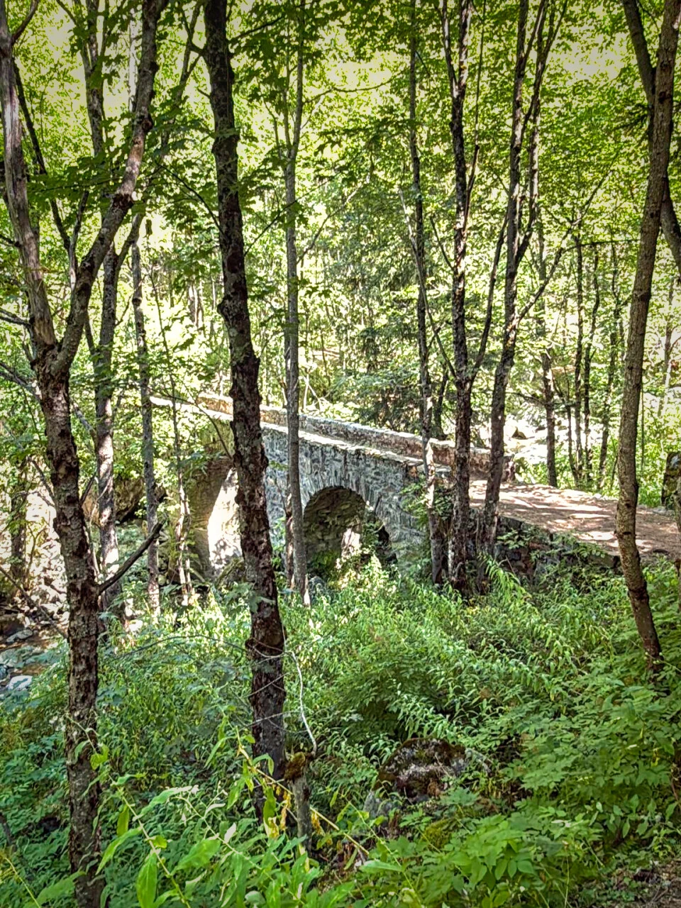 Passerelle sur le Vénéon