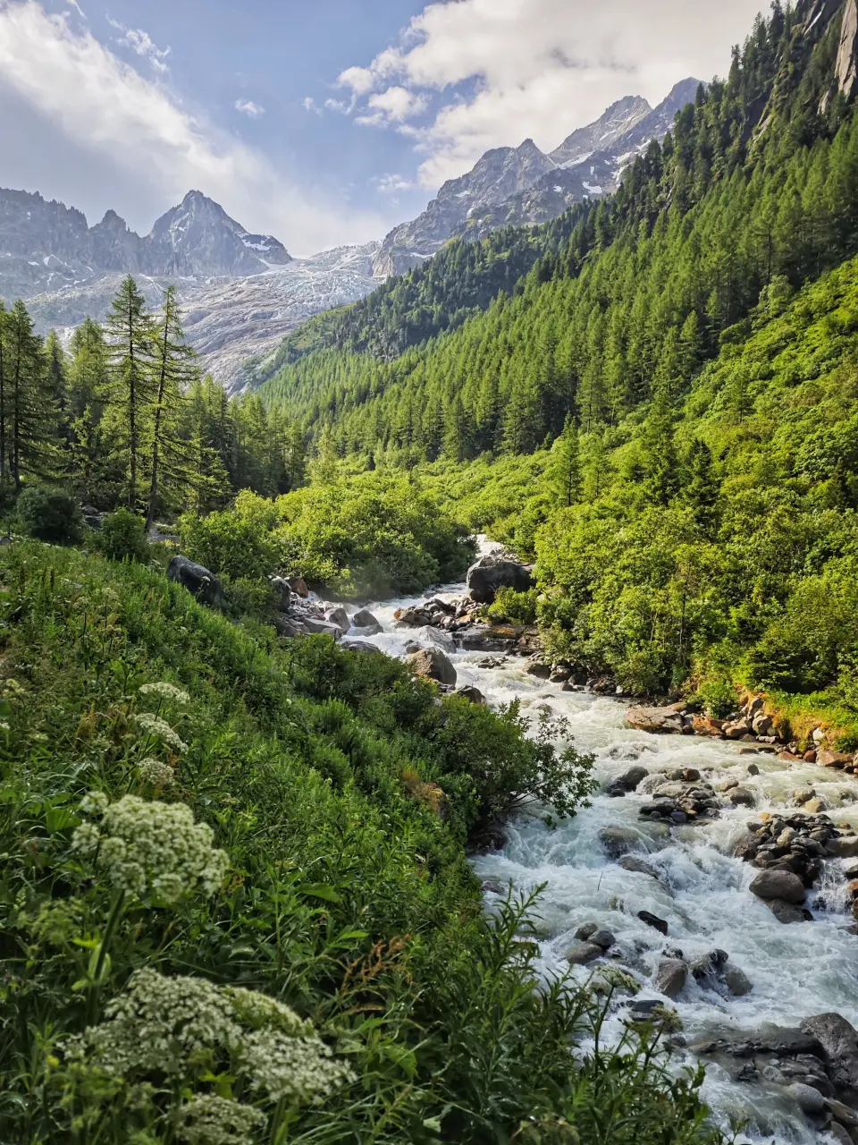 Glacier du Trient - TMB