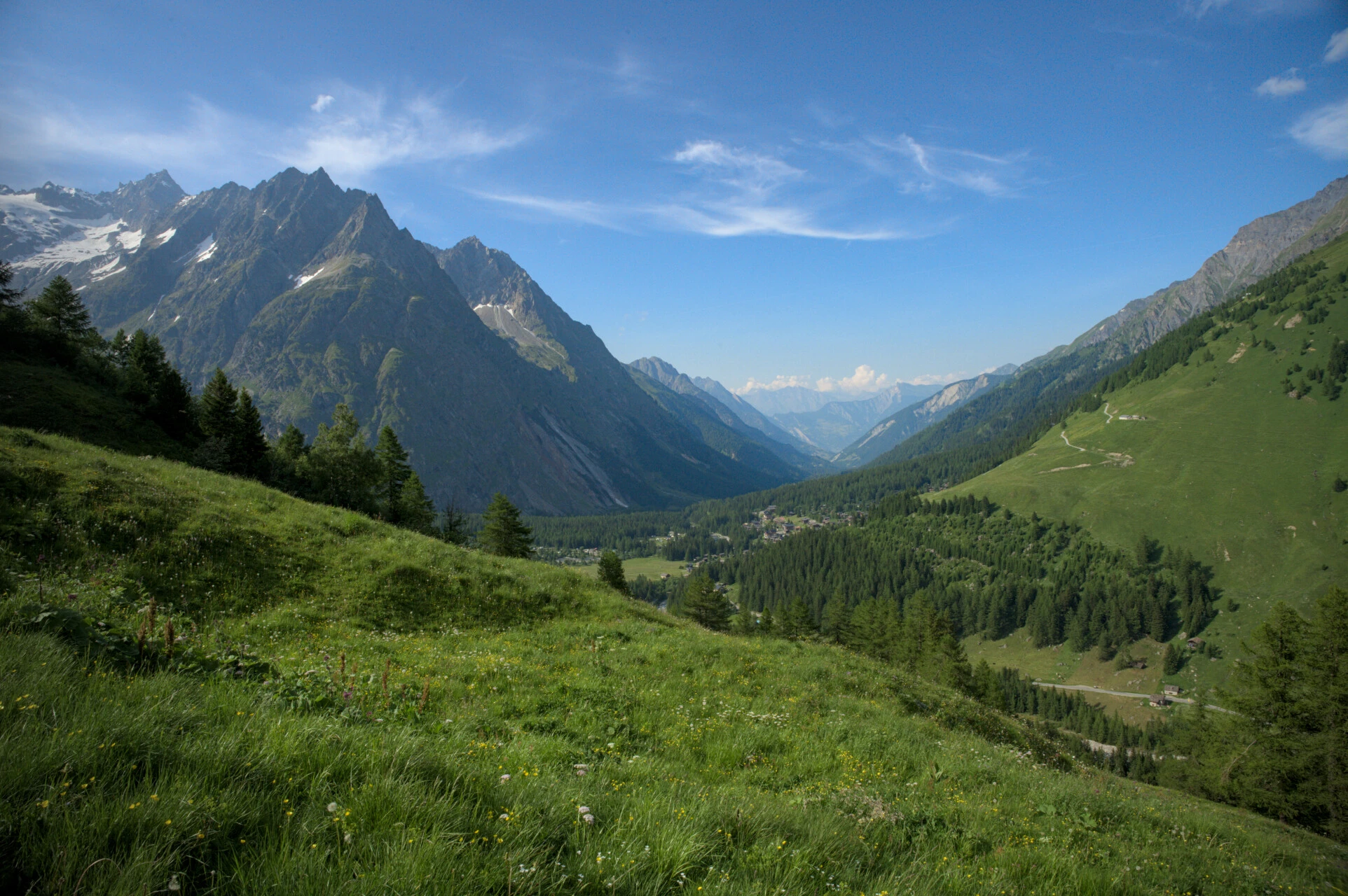 Prairie du Val Ferret suisse avec les glaciers du Mont-Blanc en toile de fond