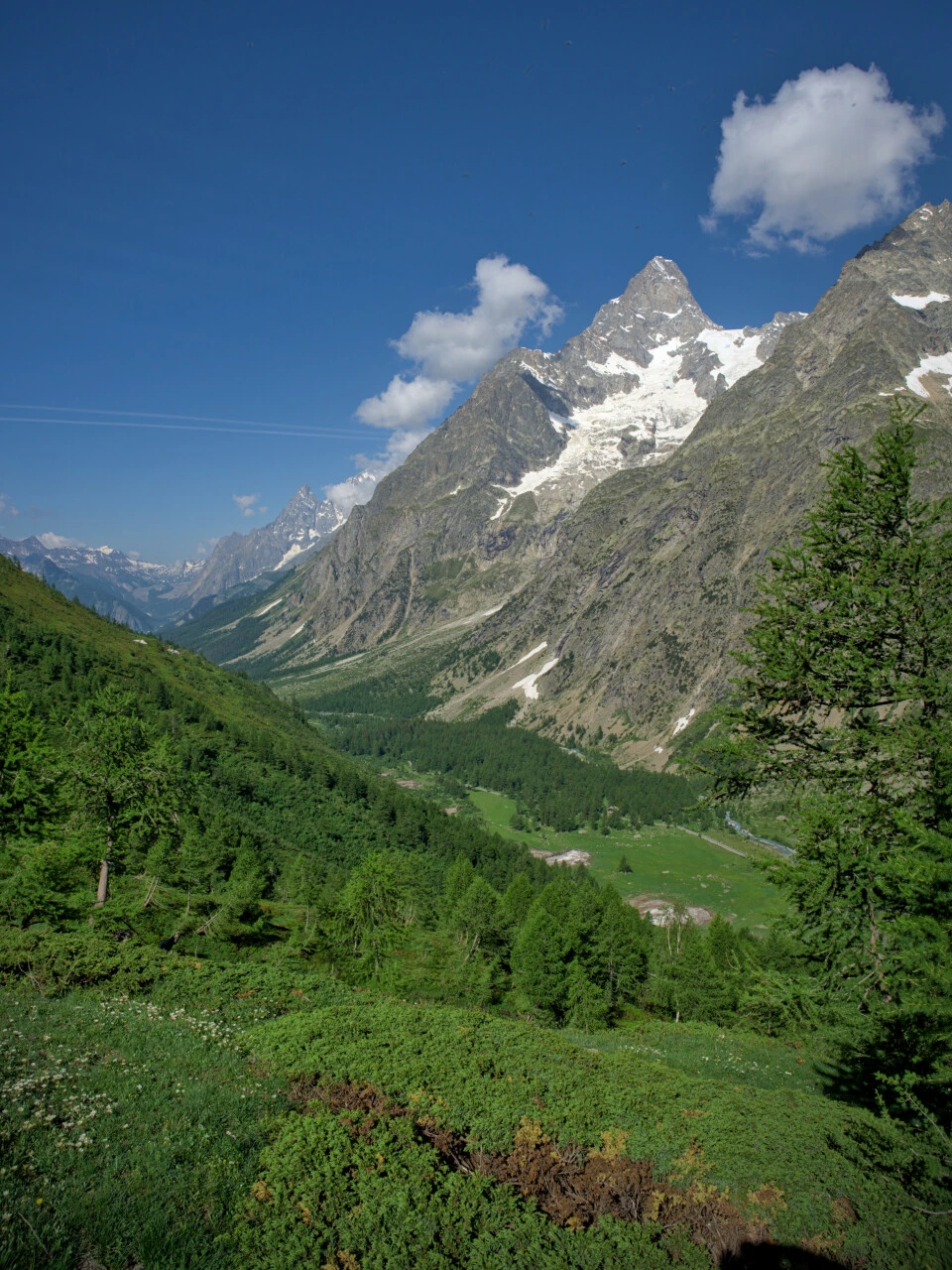 Forêt de mélèzes et aiguilles du Mont-Blanc sur le sentier vers le Refuge Bertone