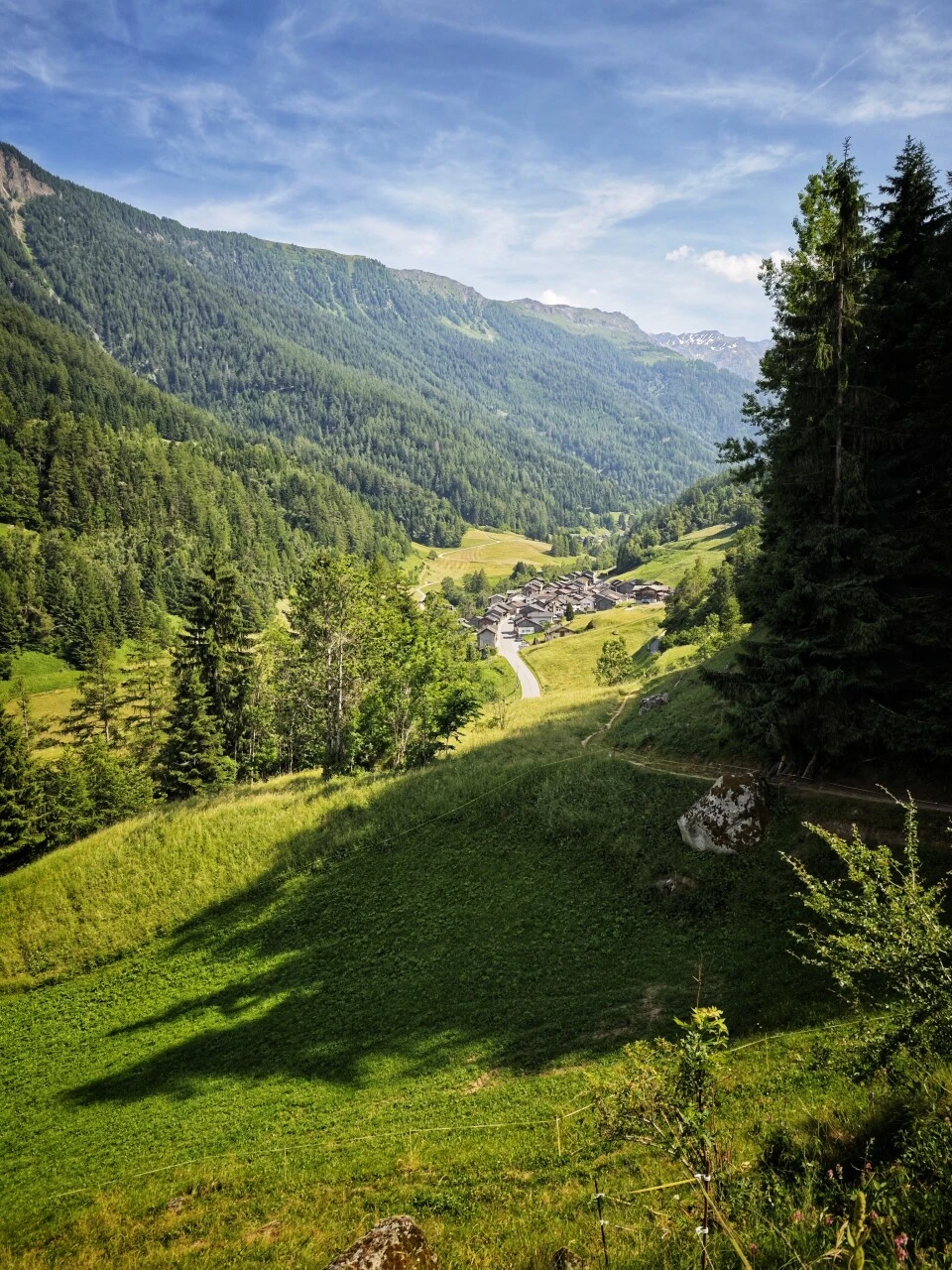 Le Val Ferret suisse, pentes boisées et fond de vallée pastoral