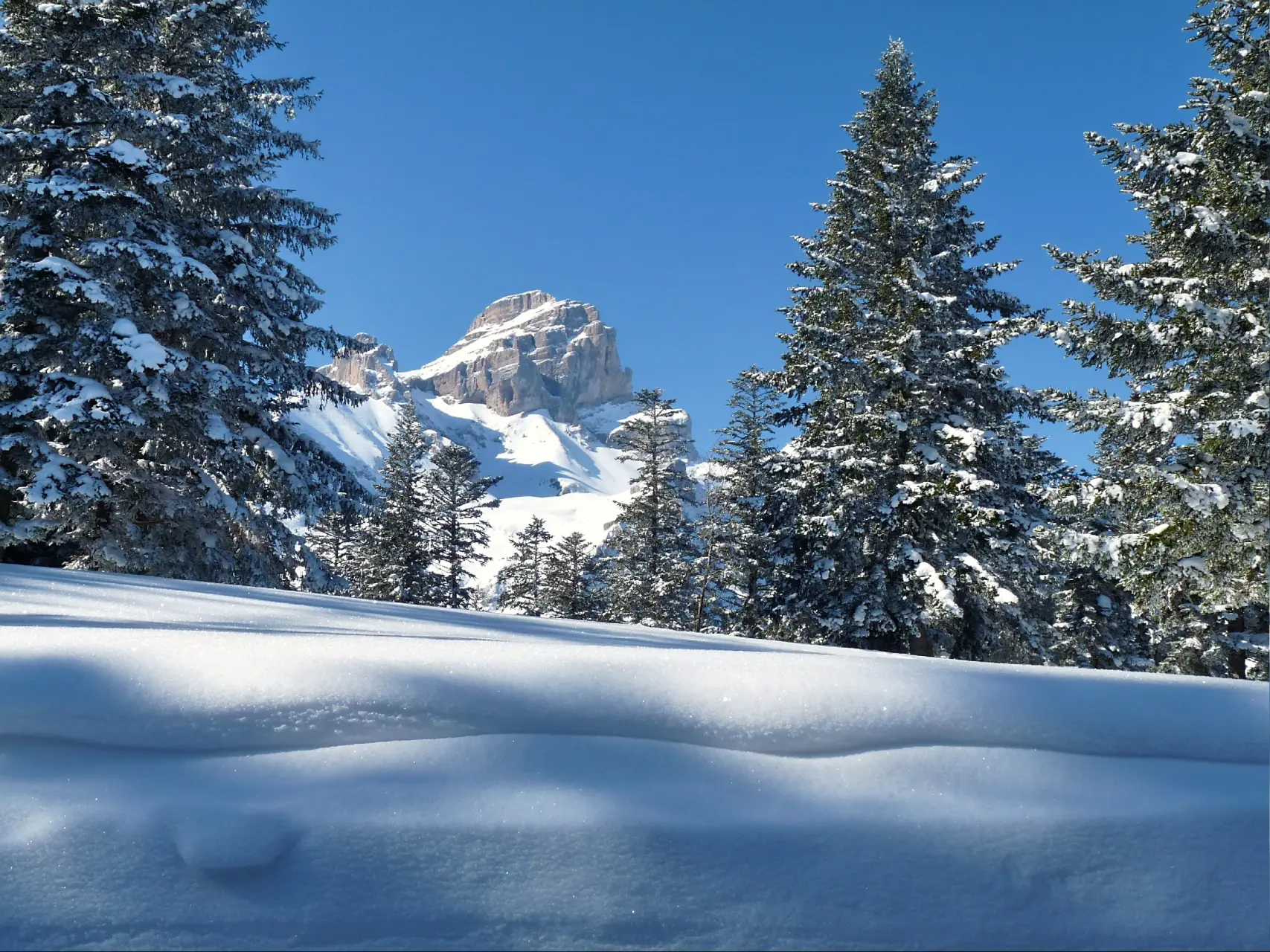 réveillon en refuge