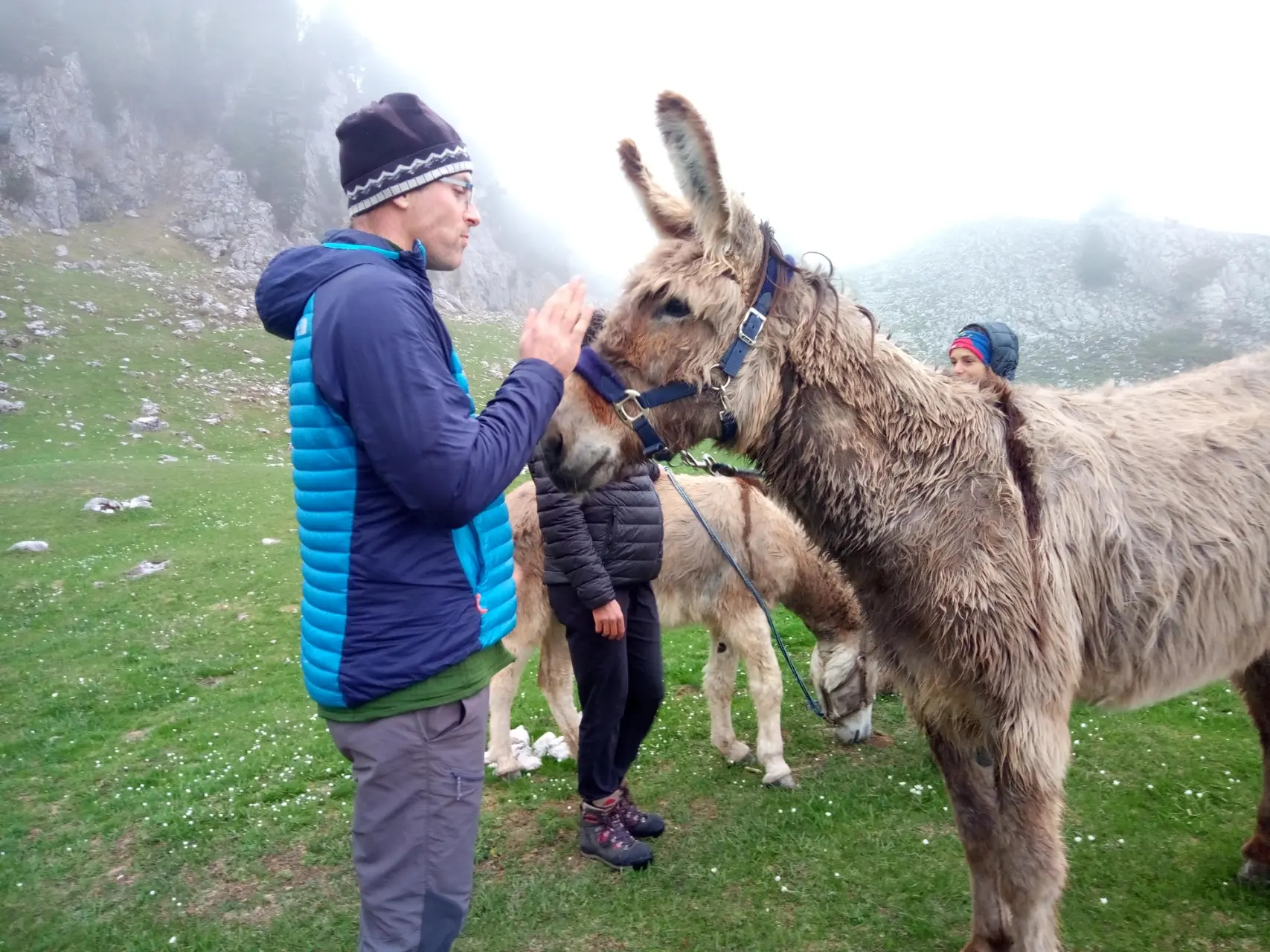 Randonnée familiale avec ânes - Hauts plateaux du Vercors - Jeune papa