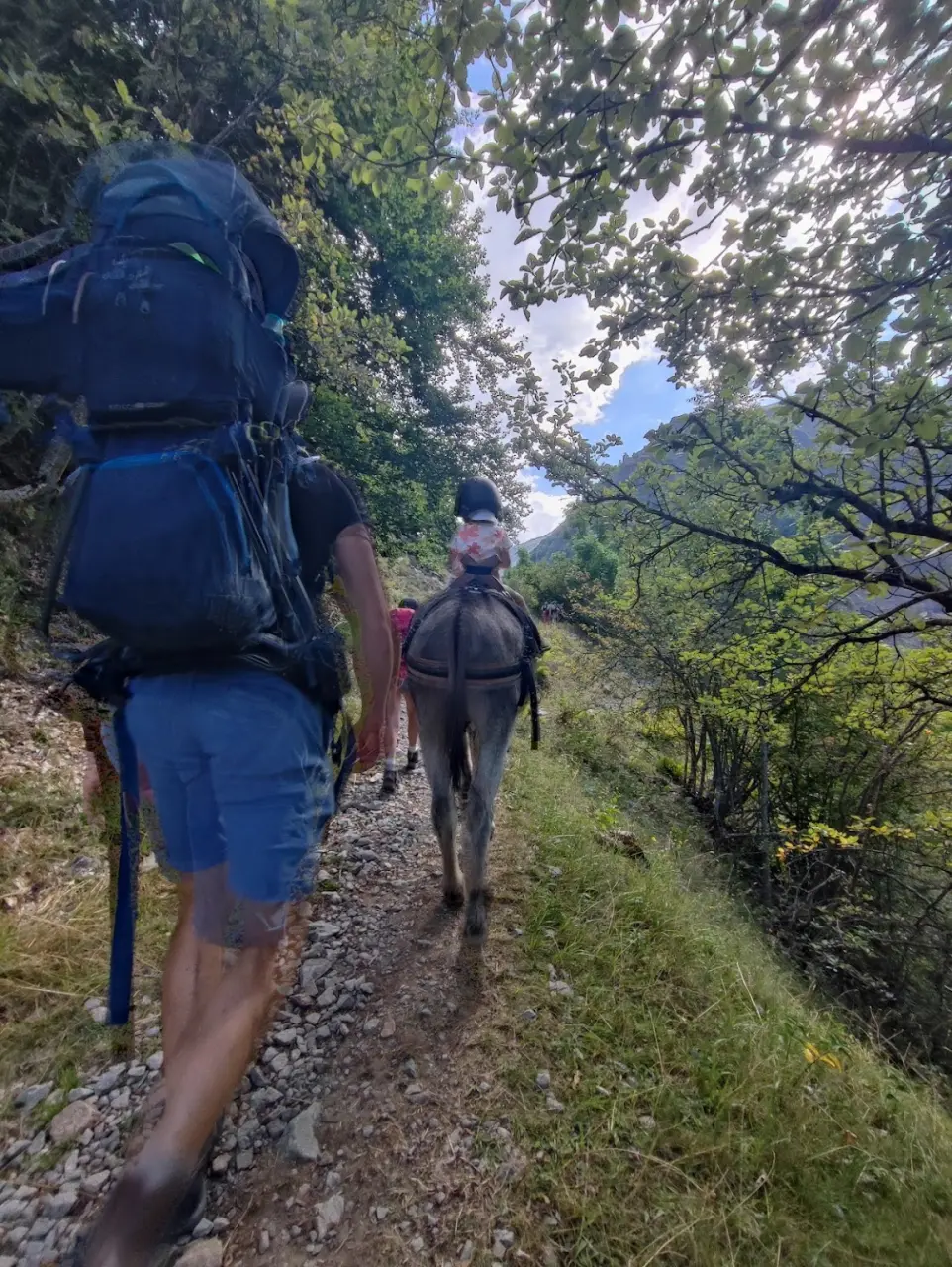 Randonnée familiale avec ânes