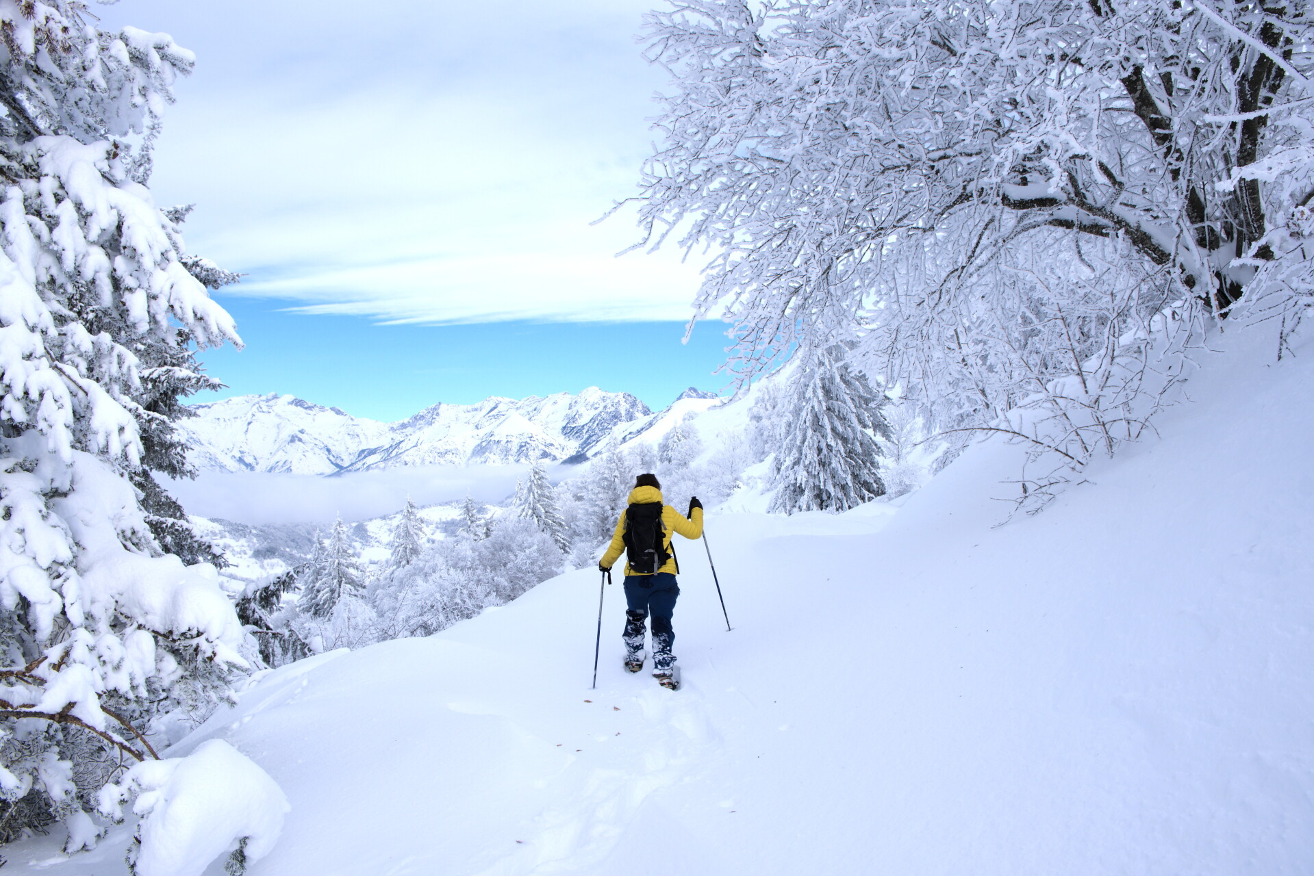 Raquette et nuit en refuge dans les Alpes en 2027