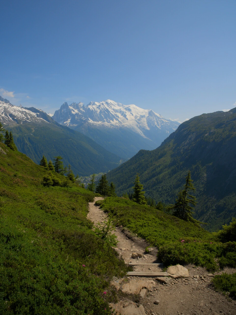 Descente du sentier balcon vers la vallée de Chamonix