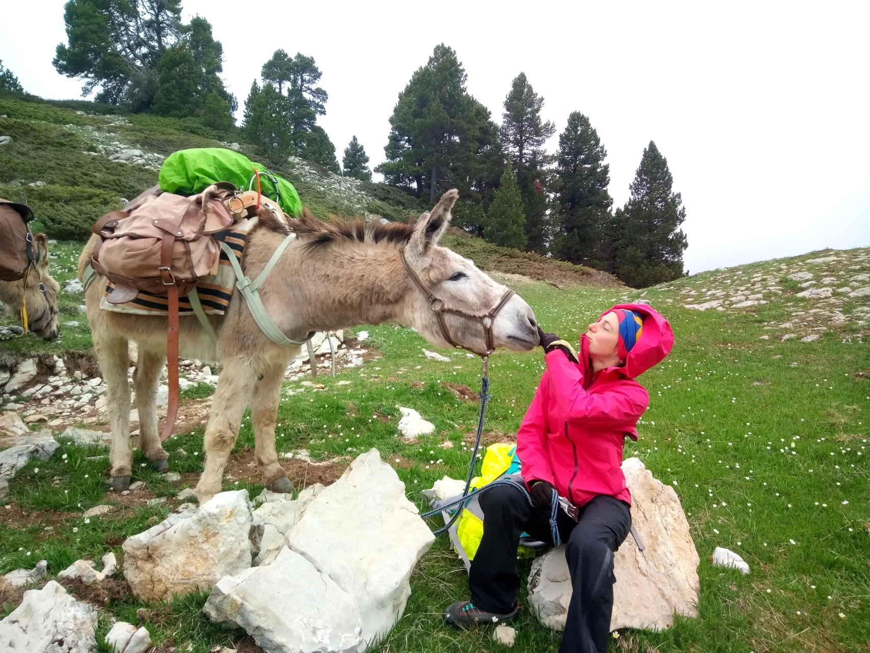 Trek - Âne de bât - Hauts plateaux du Vercors - Jeune maman