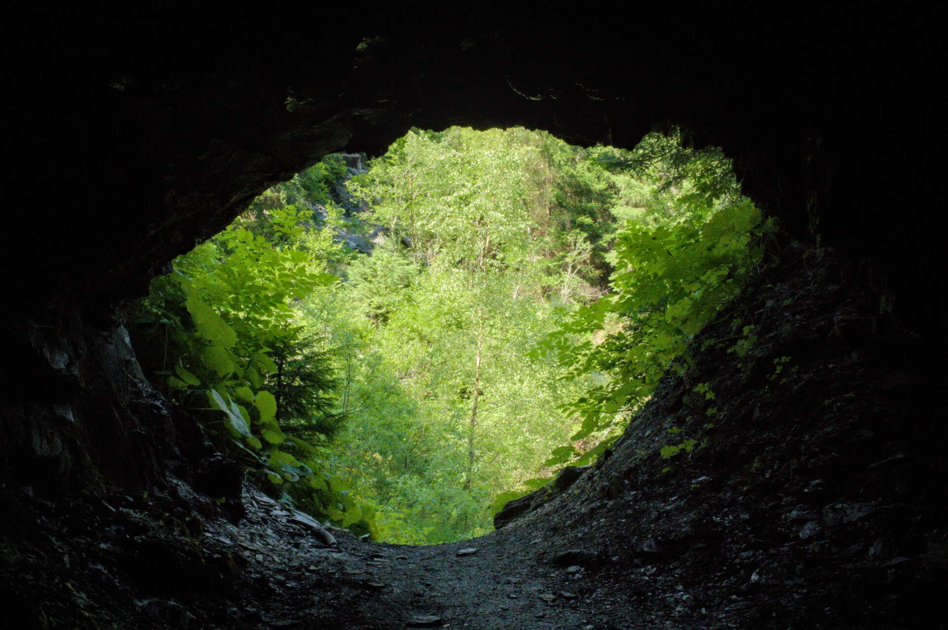 Canopée forestière sur le sentier d'arrivée à Champex